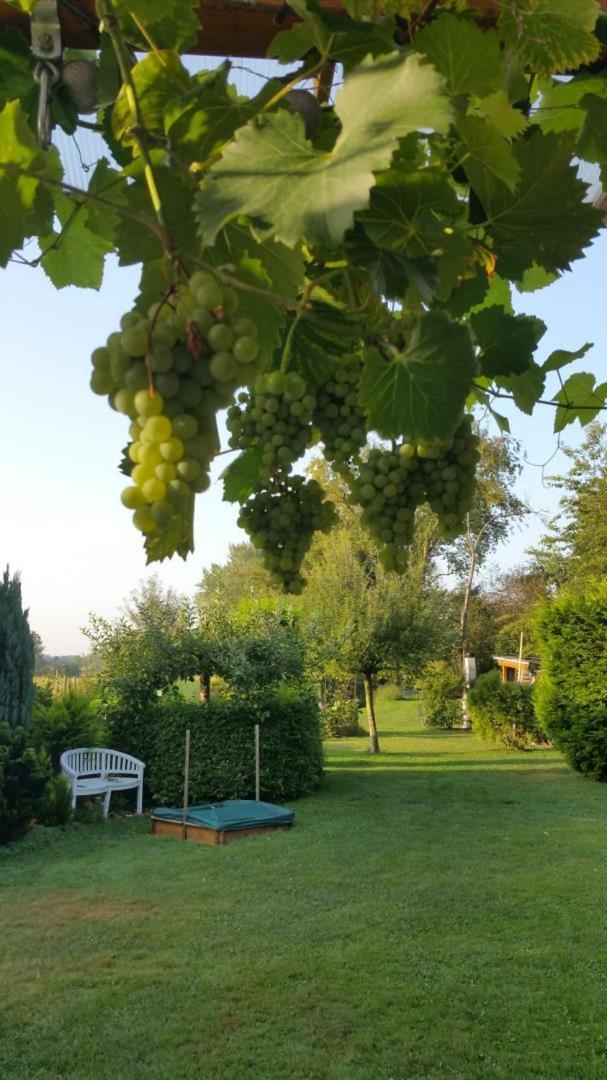 Apartamento Neu! Naehe Spreewald